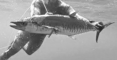 pesca subacquea in lombok