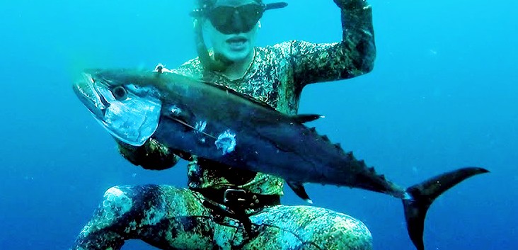 pesca subacquea in nord sulawesi