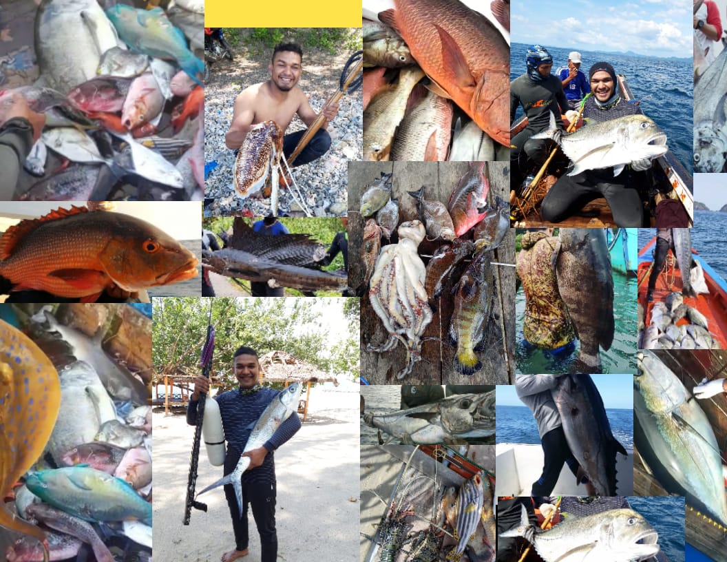 Pesca in Apnea in Aceh & Pulau Weh